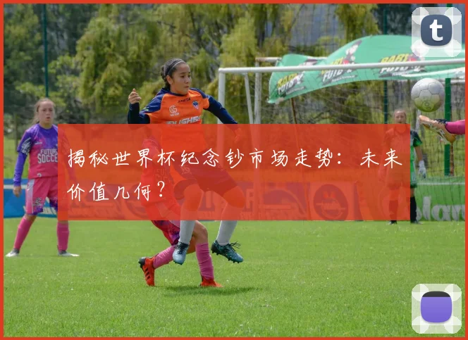 揭秘世界杯纪念钞市场走势:未来价值几何?
