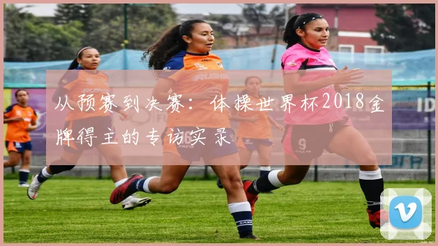 从预赛到决赛：体操世界杯2018金牌得主的专访实录