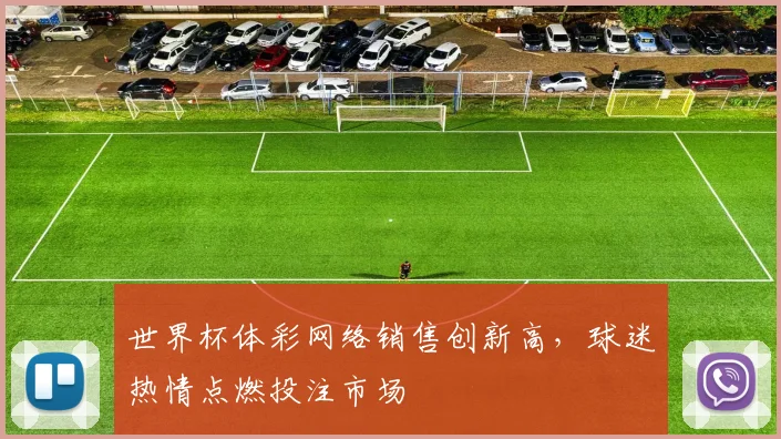 世界杯体彩网络销售创新高,球迷热情点燃投注市场